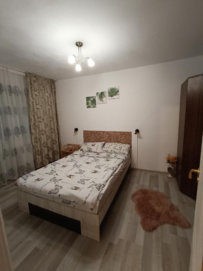Central Bacău エクステリア 写真